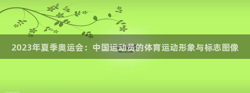 一竞技官网下载平台注册要钱吗：2023年夏季奥运会：中国运动
