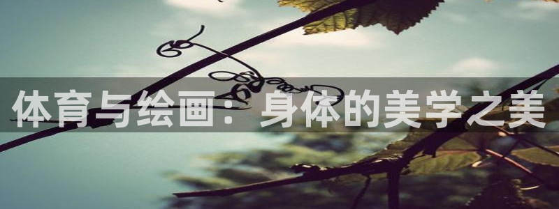 一竞技官方正版app娱乐40996：体育与绘画：身体
