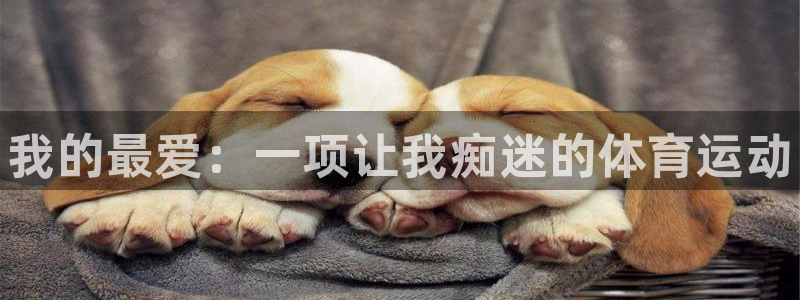 一竞技官网下载平台APP：我的最爱：一项让我痴迷的体
