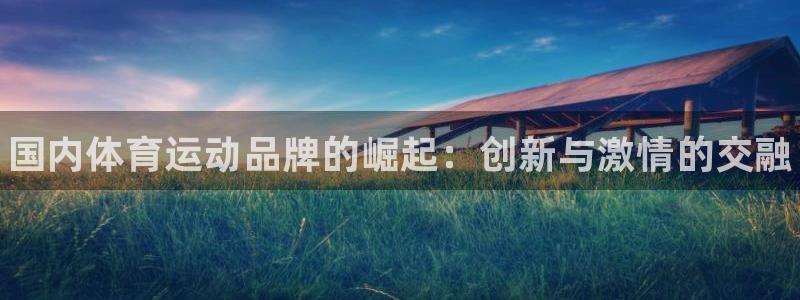 一竞技官方正版app五金厂：国内体育运动品牌的崛起：创新与激