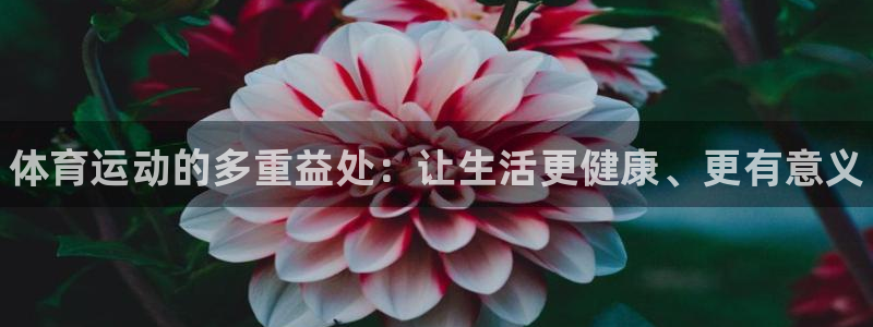 一竞技官方正版app官网：体育运动的多重益处：让生活