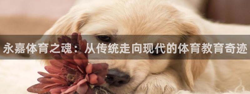 一竞技官方正版app神州：永嘉体育之魂：从传统走向现