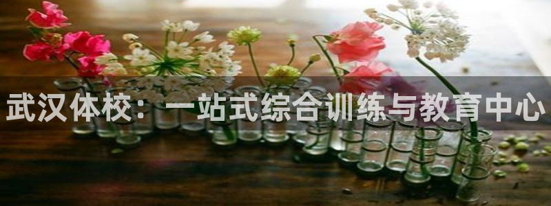一竞技官方正版app集团官网首页网址：武汉体校：一站