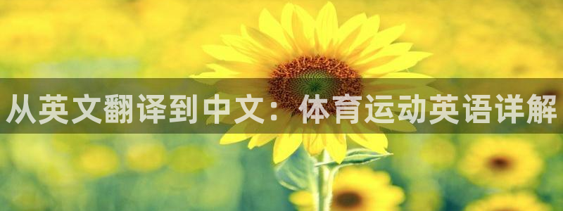 一竞技官网下载平台是正规平台吗知乎：从英文翻译到中文：体育运