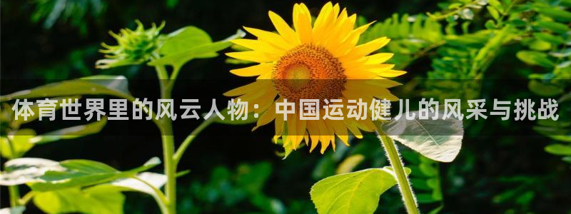一竞技官网下载平台注册流程图：体育世界里的风云人物：
