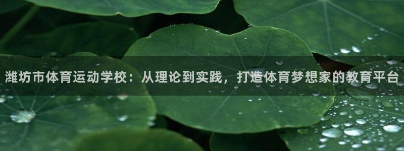 一竞技官方正版app娱乐平台：潍坊市体育运动学校：从理论到实