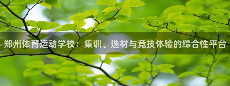 一竞技官网下载招商电话：郑州体育运动学校：集训、选材