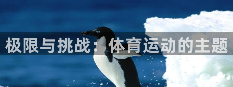 一竞技官方正版app官网：极限与挑战：体育运动的主题