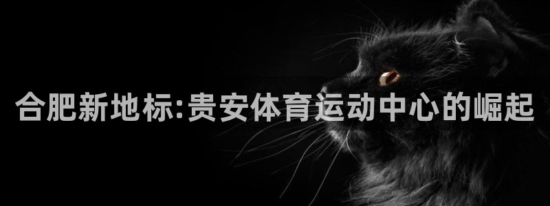 海南一竞技官网下载：合肥新地标:贵安体育运动中心的崛