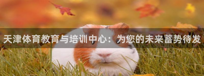 一竞技官网下载平台注册要钱吗安全吗：天津体育教育与培训中心：