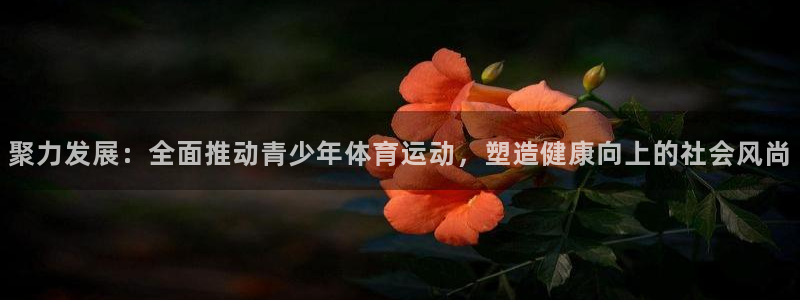 一竞技官方正版app官方