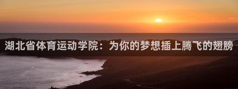 海南一竞技官网下载：湖北省体育运动学院：为你的梦想插