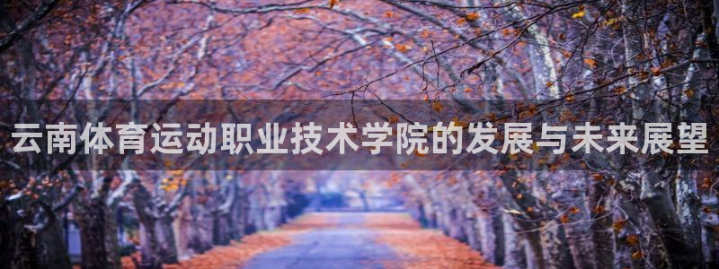 一竞技官方正版app开户