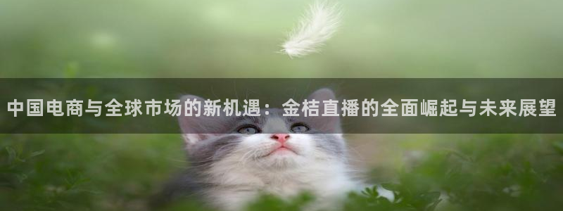 857体育赛事直播无插件：中国电商与全球市场的新机遇：金桔直播的全面崛起与未来展望