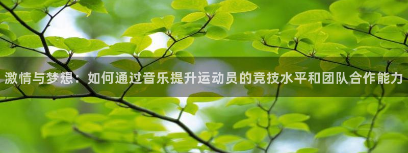 一竞技官网下载安装
