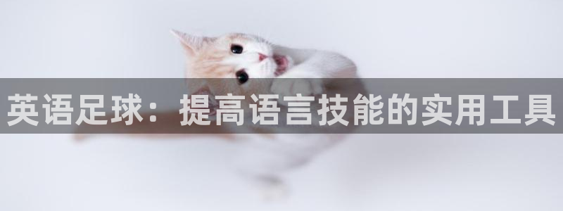 一竞技
