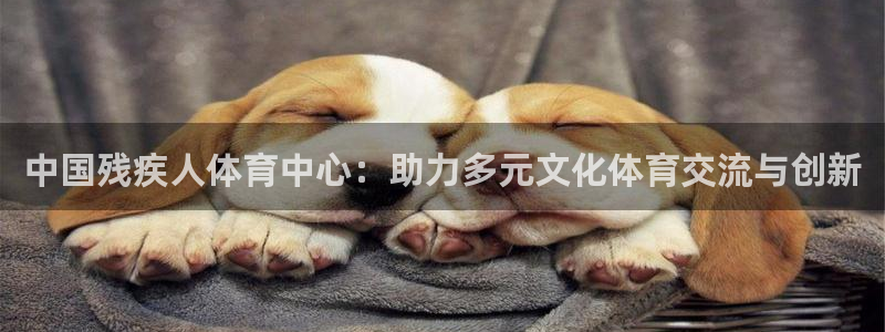  一竞技app：中国残疾人体育中心：助力多元文化体育交流与创新
