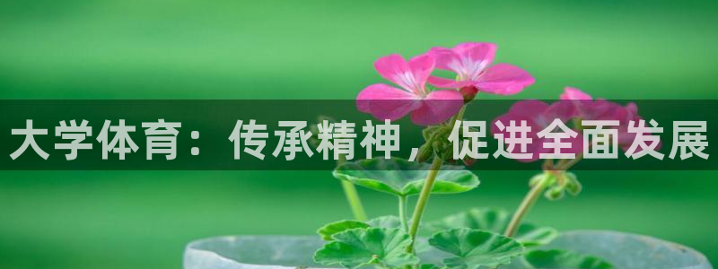  一竞技官网入口登录：大学体育：传承精神，促进全面发展