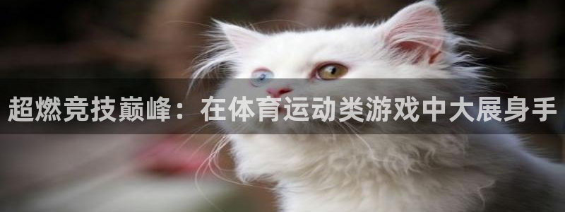 一竞技测速网站：超燃竞技巅峰：在体育运动类游戏中大展身手