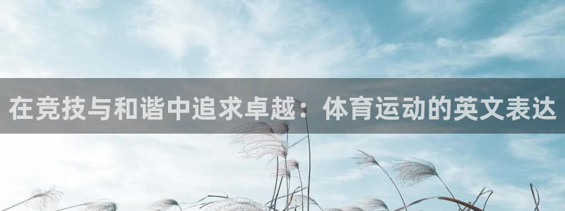 一竞技app下载：在竞技与和谐中追求卓越：体育运动的英文表达