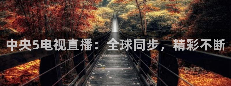 857免费直播nba：中央5电视直播：全球同步，精彩不断