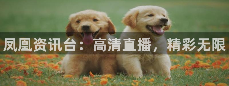 857免费直播nba：凤凰资讯台：高清直播，精彩无限