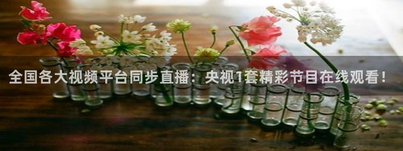 857ty体育直播：全国各大视频平台同步直播：央视1套精彩节目在线观看！