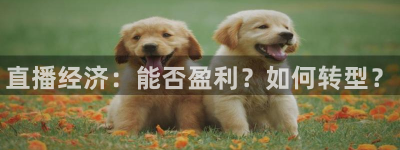 857直播体育在线：直播经济：能否盈利？如何转型？