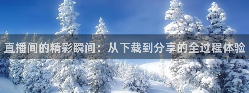 857雨燕体育直播：直播间的精彩瞬间：从下载到分享的全过程体验